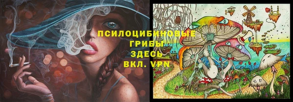 молекула духа Карталы